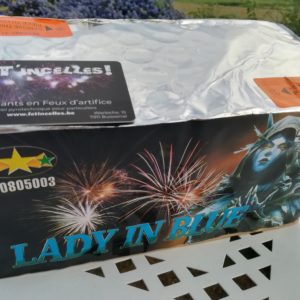 Lady in Blue