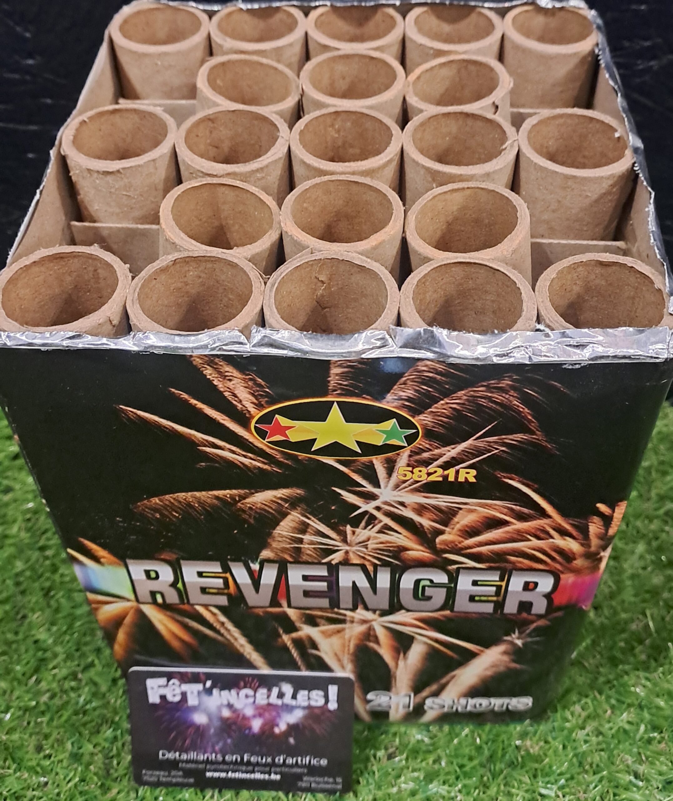 Revenger